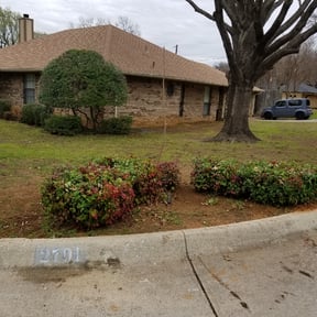 Bush Trimming by Honey Do’s Landscaping LLC reviewed on August 20, 2025