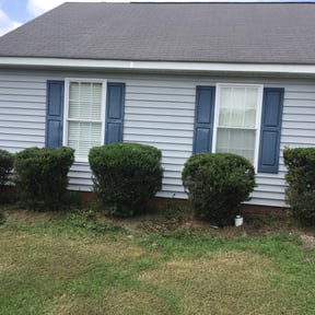 Bush Trimming by Lopez Property Services Inc. reviewed on August 21, 2025