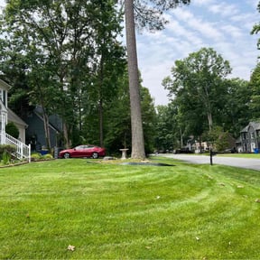 gardening service by Allen Investments reviewed on August 20, 2025