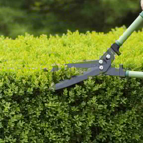 Bush Trimming by Eminence Services LLC reviewed on September 27, 2024