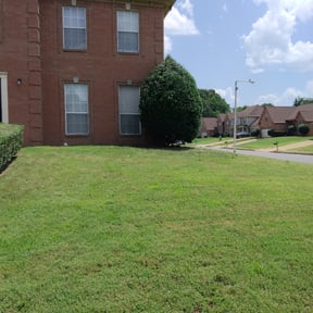 Bush Trimming by Grasman LLC reviewed on August 16, 2025