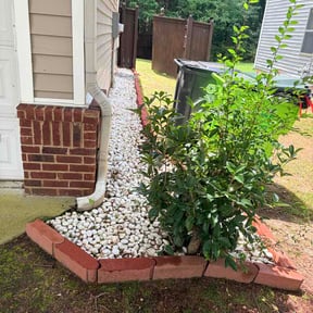 Flower Bed Weeding by Vegas Lawn Guru reviewed on August 16, 2026