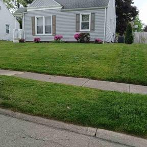 residential landscaping by Pt contracting reviewed on August 21, 2025