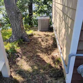 Leaf Removal by Adams Lawn Care &amp; More reviewed on August 19, 2026