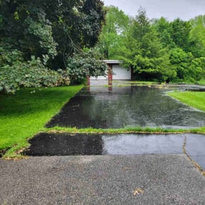 turf maintenance by Solomon's Garden Premium Lawn Care Services reviewed on August 18, 2025