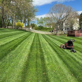 gardening service by Speedys Contractor LLC reviewed on October 18, 2025