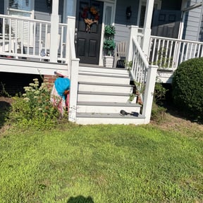 Bush Trimming by Man & Mower reviewed on August 19, 2025