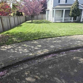 yard maintenance by MDS Creations reviewed on August 15, 2025