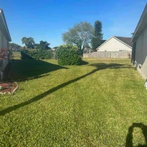 turf maintenance by GREEN GUYS LAWN CARE reviewed on March 14, 2024