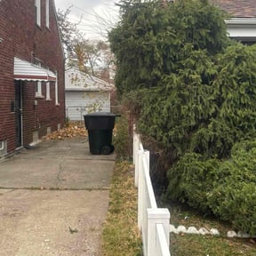 Bush Trimming by East bay gutter cleaning reviewed on October 22, 2025