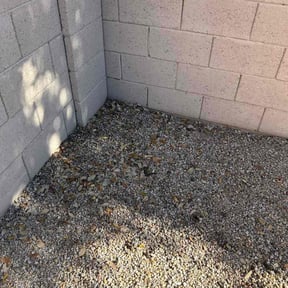 Leaf Removal by Ozzy landscape and handy man services reviewed on August 2, 2026