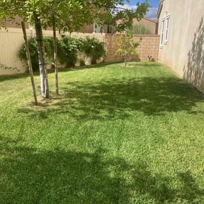 yard work by A.T.H IRRIGATION & LANDSCAPE reviewed on August 19, 2025
