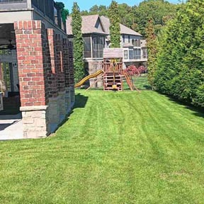 yard service by Jose Perez Landscaping reviewed on August 21, 2025