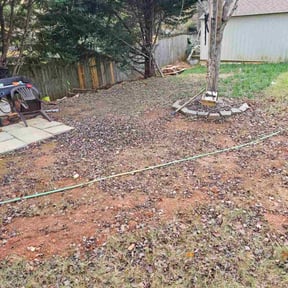 Leaf Removal by Ines lawnscaping reviewed on November 20, 2025