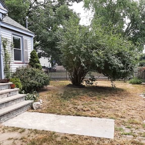 Bush Trimming by Ruben's Property Management reviewed on November 24, 2025