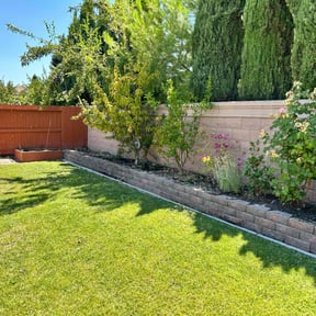 Lawn Mowing by  reviewed on August 7, 2025