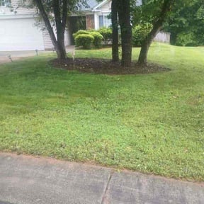 yard service by Erick's Lawn Maintenance reviewed on August 21, 2025