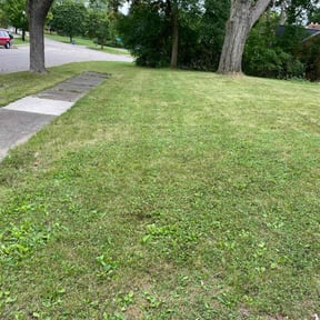 lawn service by AC LAWNCARE reviewed on January 15, 2024