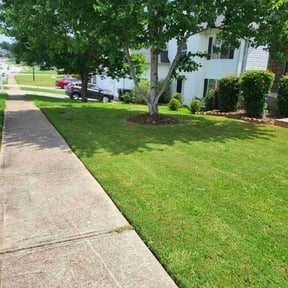 yard maintenance by GRASSBOY reviewed on November 24, 2025