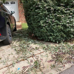 Bush Trimming by Diego Mojica Lawn Care reviewed on August 14, 2025