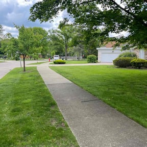 residential landscaping by Prime property service llc reviewed on August 17, 2025