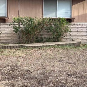 Bush Trimming by Greenlawnz landscaping reviewed on August 17, 2025