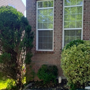 Bush Trimming by Affordable Lawncare reviewed on August 15, 2025