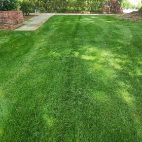 landscaping by Smith Solves Situations LLC reviewed on August 20, 2025