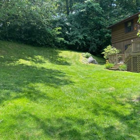 residential landscaping by Lawn Guys reviewed on August 21, 2025
