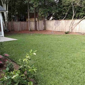 residential landscaping by GreenCarpet reviewed on January 16, 2026