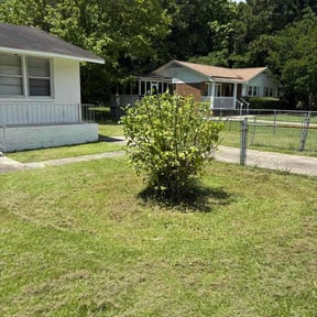 Bush Trimming by Adams Paiz reviewed on August 16, 2025