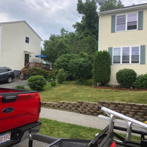 Bush Trimming by Mow for you reviewed on August 17, 2025