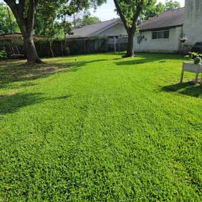 yard care by OC Lawn Care Services reviewed on August 20, 2025