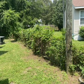 Bush Trimming by Texas Best Lawn and Farm reviewed on August 19, 2025