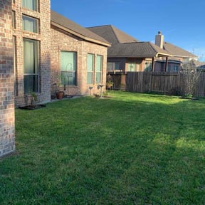 landscaping by Paint by Ponch reviewed on August 18, 2025