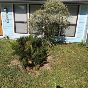 Bush Trimming by Advance Cutter Lawn Maintenance reviewed on December 4, 2025