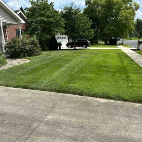 yard work by Green Hands Landscaping reviewed on August 18, 2025