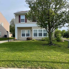 turf maintenance by Pawpaws lawn care service reviewed on August 5, 2024