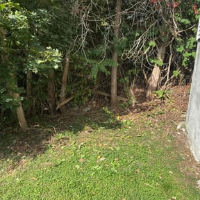 Bush Trimming by Zeferino Lawn Care reviewed on November 23, 2025