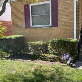 Bush Trimming by Trapp Lawn Care LLC reviewed on August 16, 2025