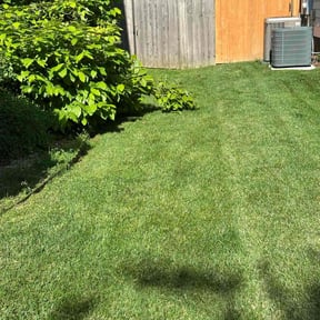 turf maintenance by S&amp;DF Llawn Maintenance reviewed on August 20, 2025