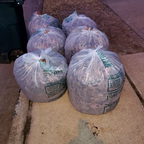 Leaf Removal by Green Line  Landscaping reviewed on September 11, 2025