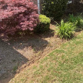 Flower Bed Weeding by Bills Lawn Care reviewed on April 25, 2026