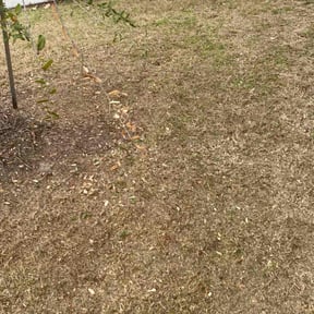 Flower Bed Weeding by Richard Buricca reviewed on November 21, 2025