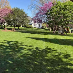 grass cutting by We Can Do It Landscaping and Handyman Services LLC reviewed on May 24, 2025