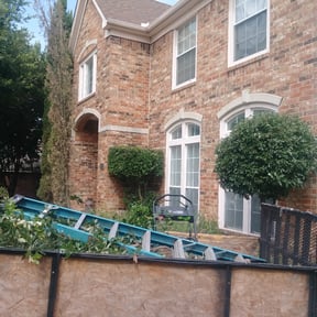Bush Trimming by Hampton's Landscaping LLC reviewed on August 19, 2025