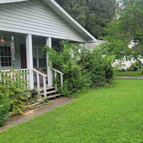 Bush Trimming by Whitfield contracting LLC reviewed on August 26, 2026