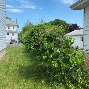 Bush Trimming by Iroc&#039;s Lawn Care reviewed on August 20, 2025