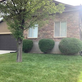 yard work by Johnson landscaping reviewed on August 16, 2025