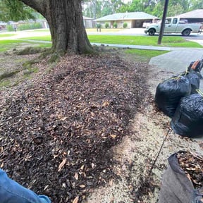 Leaf Removal by Green Love reviewed on June 27, 2026